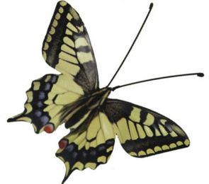 Bedroom Wall Decor Home Decoration Butterfly Office Decoration