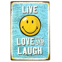 [SMILE] Home/Cafe Vintage Wall Decoration Metal Painting Wall Hanging BLUE